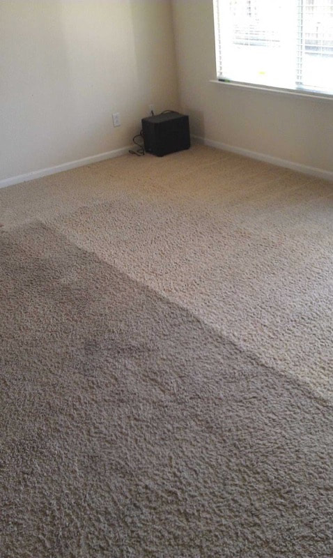 a carpet being cleaned at a client home in glendale